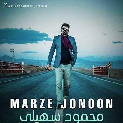 محمود سهیلی میدونی تو رو میخوام تا تهش با تو میام